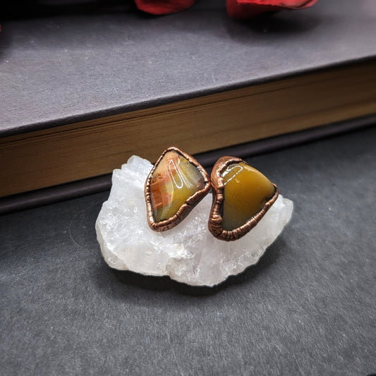 Petrified Wood Stud Earrings