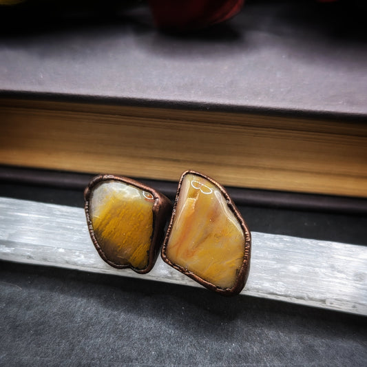 Antiqued Petrified Wood Stud Earrings